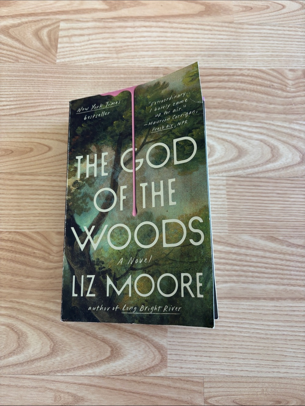 The God of the Woods by Liz Moore - Green Cover Paperback